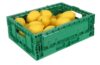 Green Collapsible Vegetable Baskets - L39cm W29cm D13cm