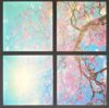 Cherry Blossom LED Ceiling Lights - Pack Of 4